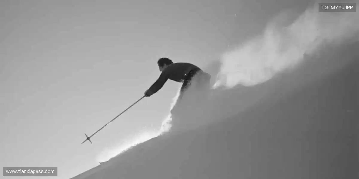 ⚽️ 赛事盛宴,激情永不落幕!